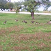 Review photo of Inks Lake State Park Campground by Chad  L., December 28, 2020