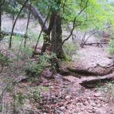 Review photo of Inks Lake State Park Campground by Chad  L., December 28, 2020