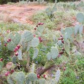 Review photo of Inks Lake State Park Campground by Chad  L., December 28, 2020