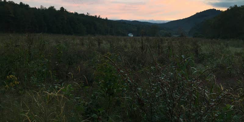 Camper submitted image from Basin Cove — Blue Ridge Parkway