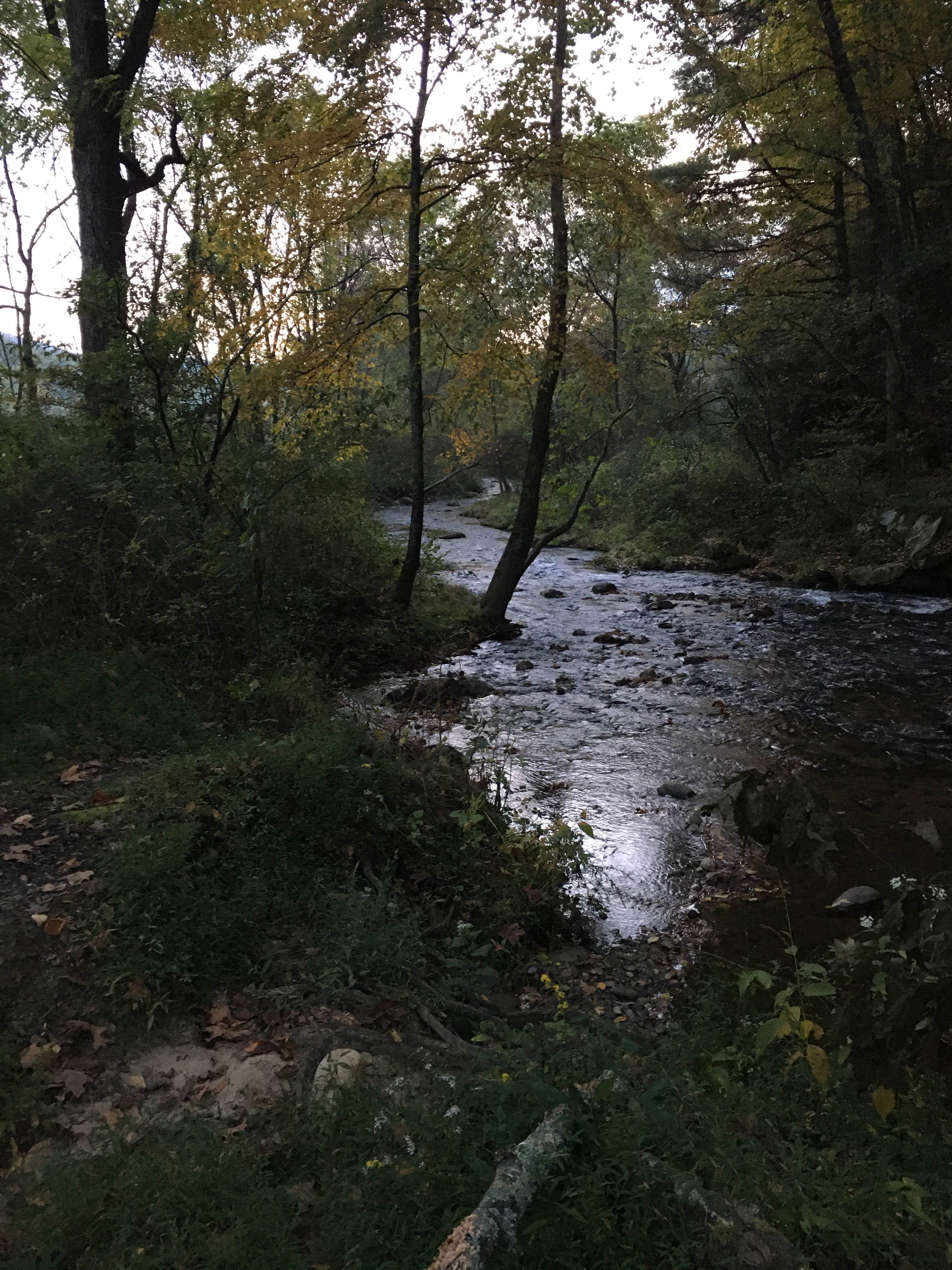 Camper-submitted photo at Basin Cove — Blue Ridge Parkway near Cana, VA