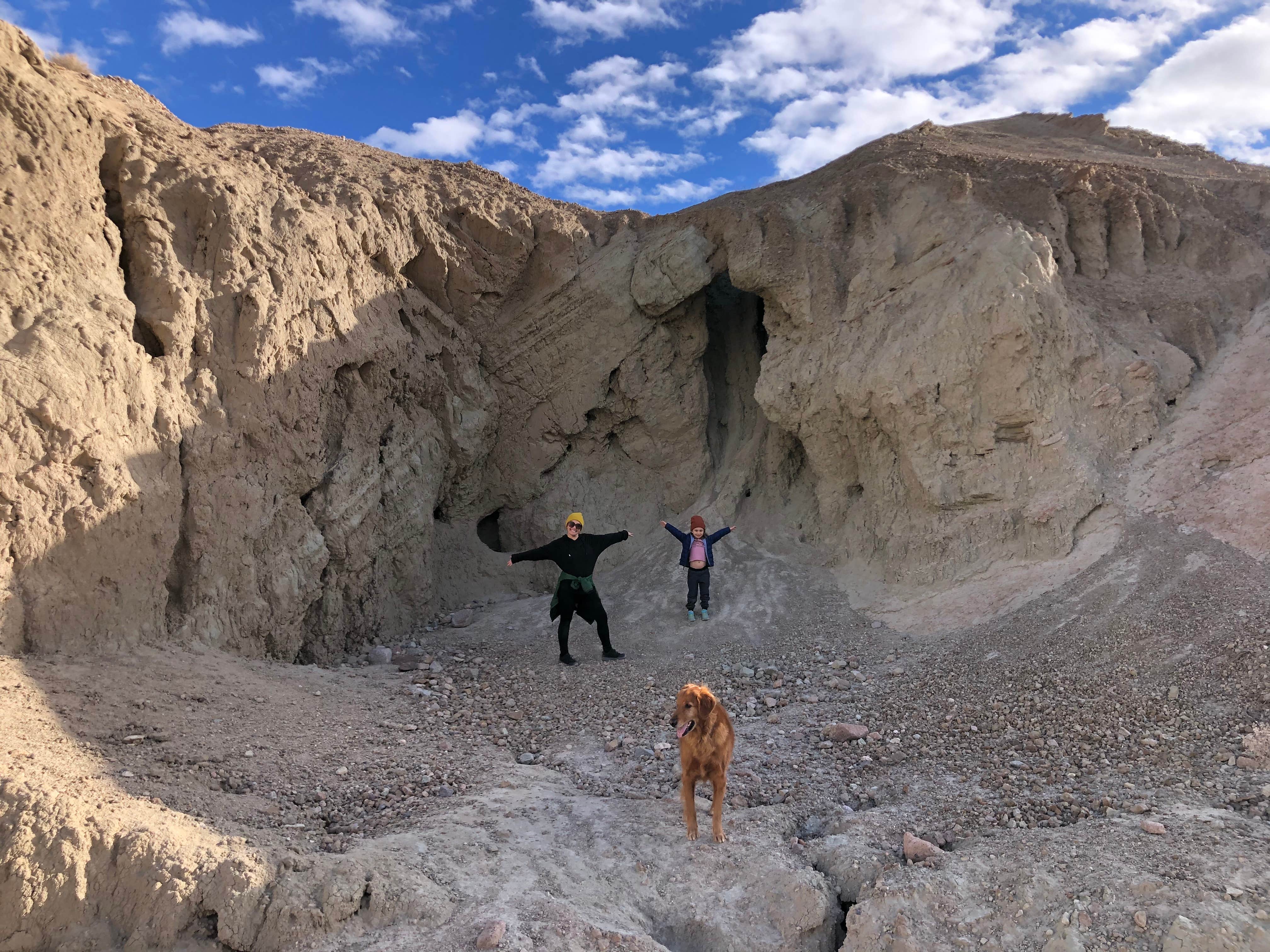 Chad M.'s photo of camping with pets at Owl Canyon Campground near Randsburg, CA