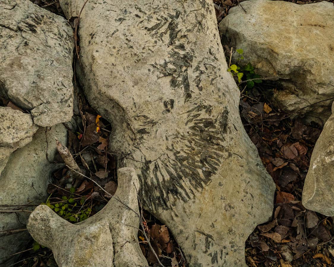 Edgar Evins State Park Campground