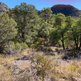 Review photo of Bonita Canyon Campground — Chiricahua National Monument by Rachelle J., December 29, 2020