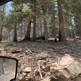 Review photo of Riggs Flat Campground by Rachelle J., December 29, 2020