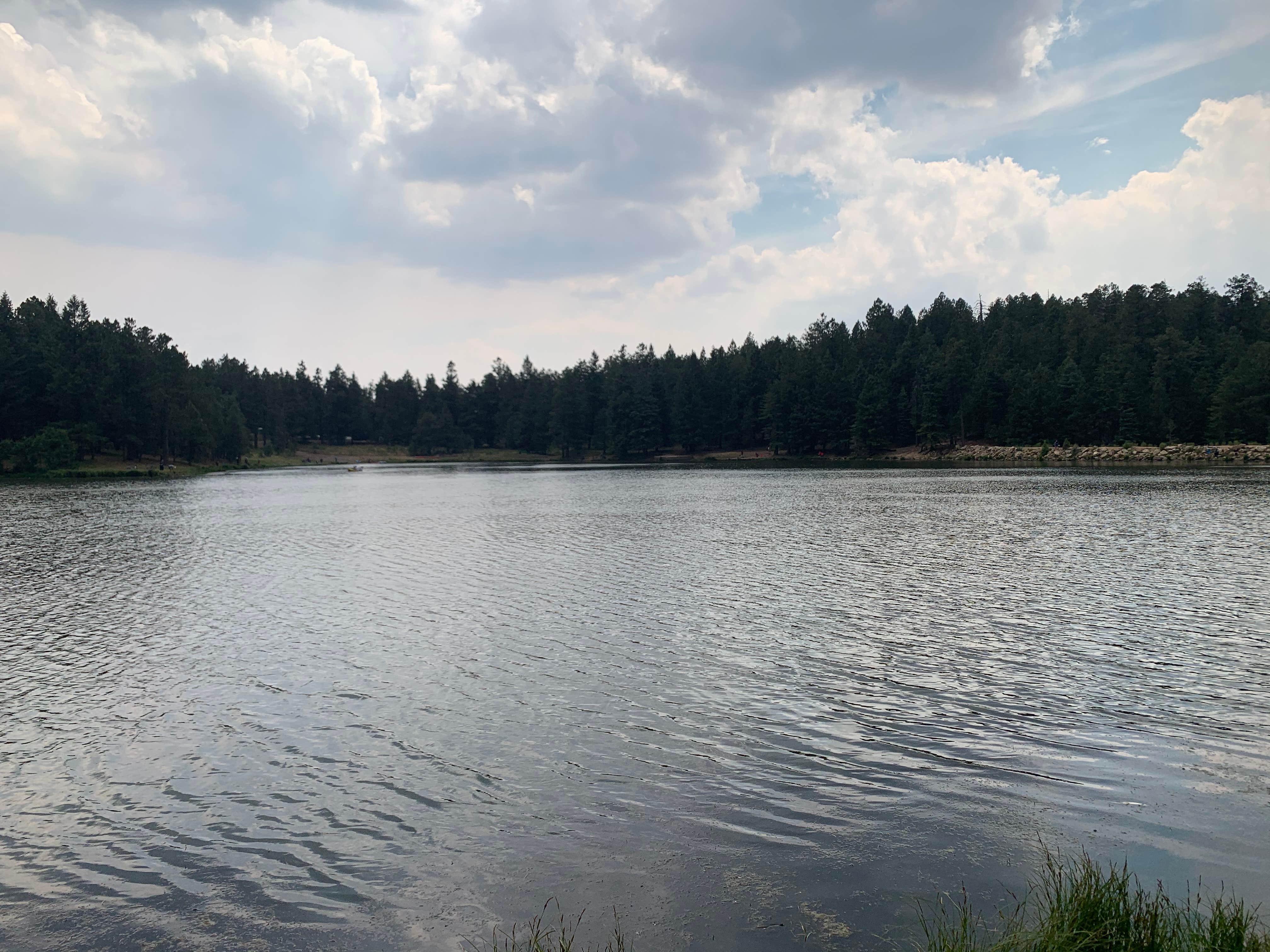 Camper-submitted photo at Riggs Flat Campground near Safford, AZ
