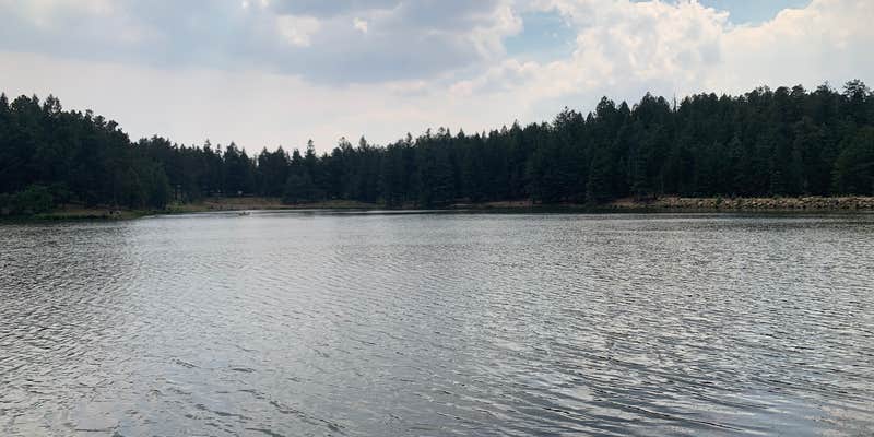 Camper submitted image from Riggs Flat Campground