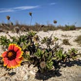 Review photo of South Beach — Padre Island National Seashore by Shari  G., December 29, 2020