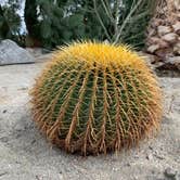 Review photo of Catalina Spa and RV Resort by Vera S., December 29, 2020