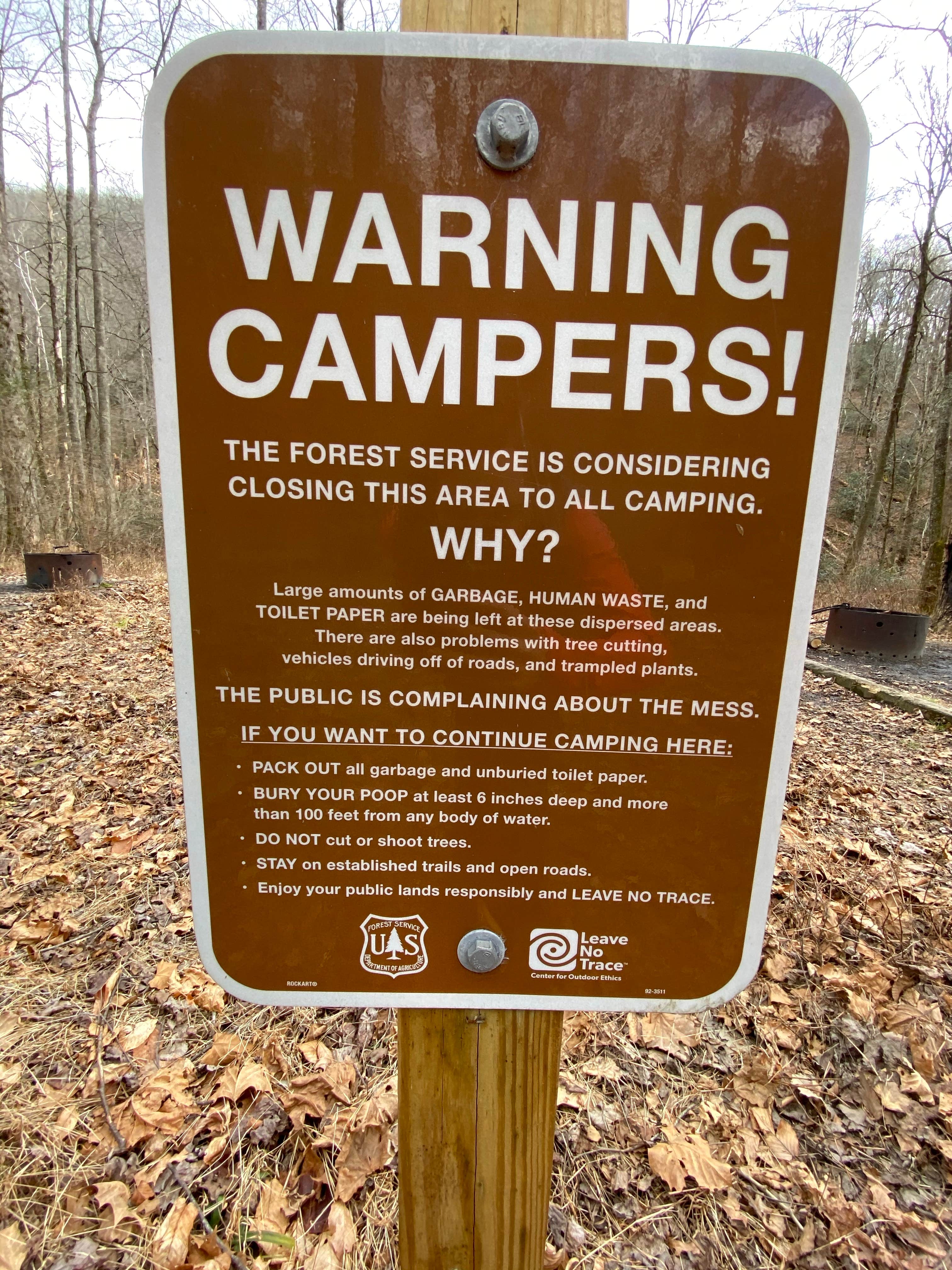 Camper-submitted photo at Avery Creek Roadside Camping near Brevard, NC