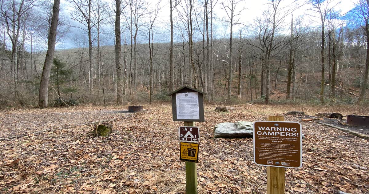 Avery Creek Roadside Camping