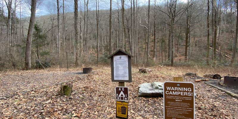 Camper submitted image from Avery Creek Roadside Camping