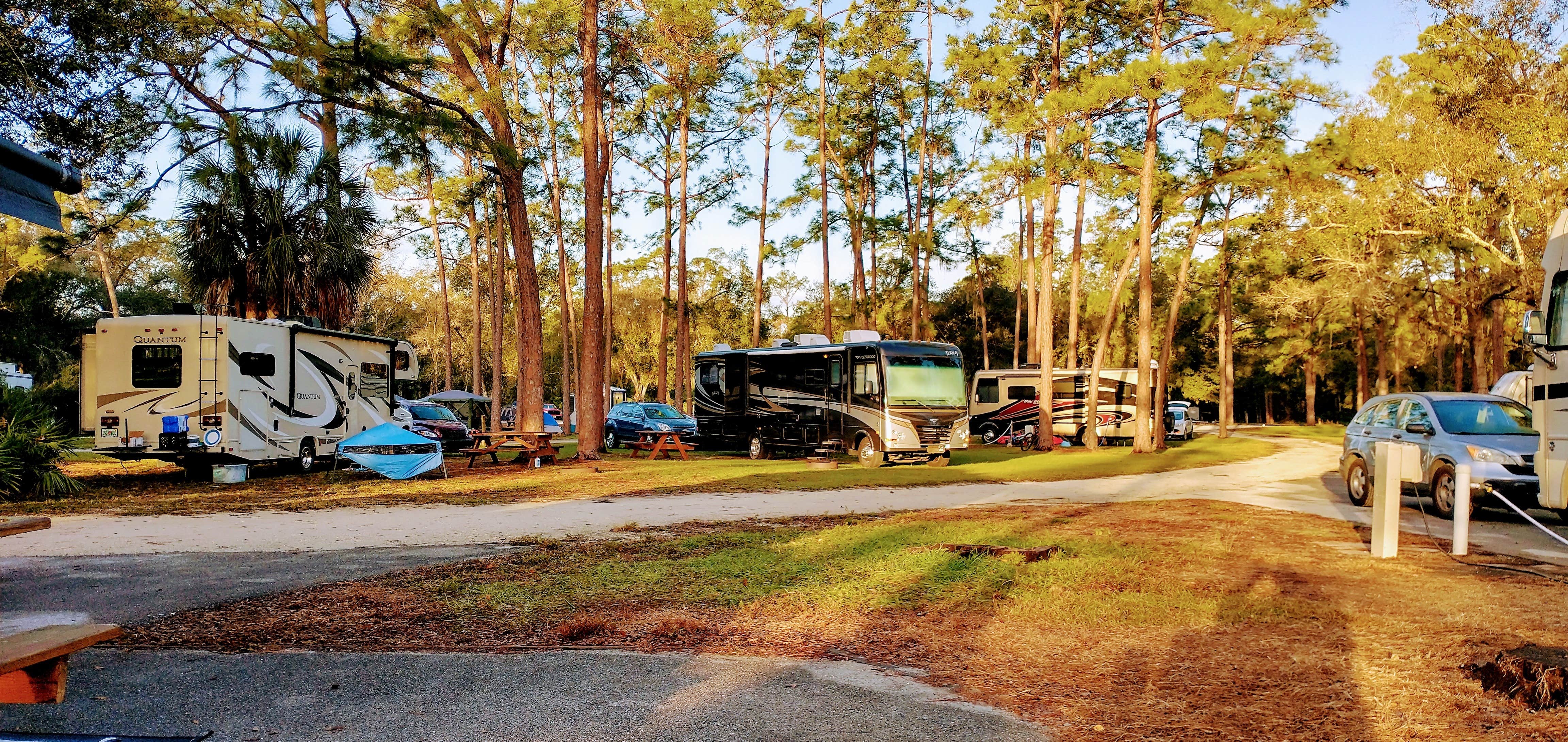 Phillip B.'s photo of rv camping at Highlands Hammock State Park Campground near Sebring, FL