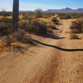 Review photo of McDowell Mountain Regional Park by Janet  M., December 29, 2020