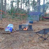 Review photo of Tyler State Park Campground by Cevan , December 29, 2020