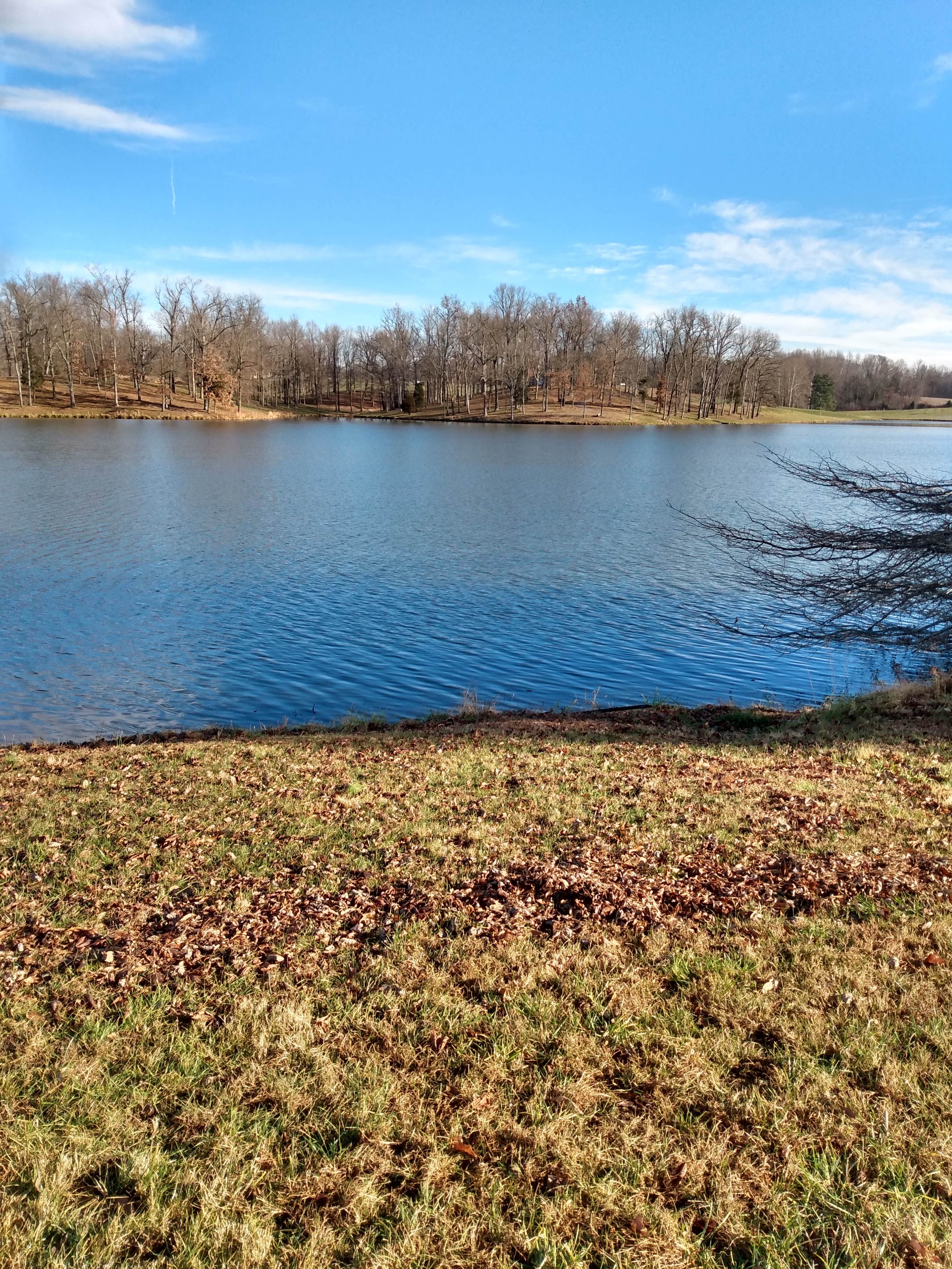 Camper-submitted photo at Moffitt Rec Area near Madisonville, KY