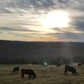 Review photo of Wilderness Rider Buffalo Ranch and Adventure Park by Stephen R., December 29, 2020