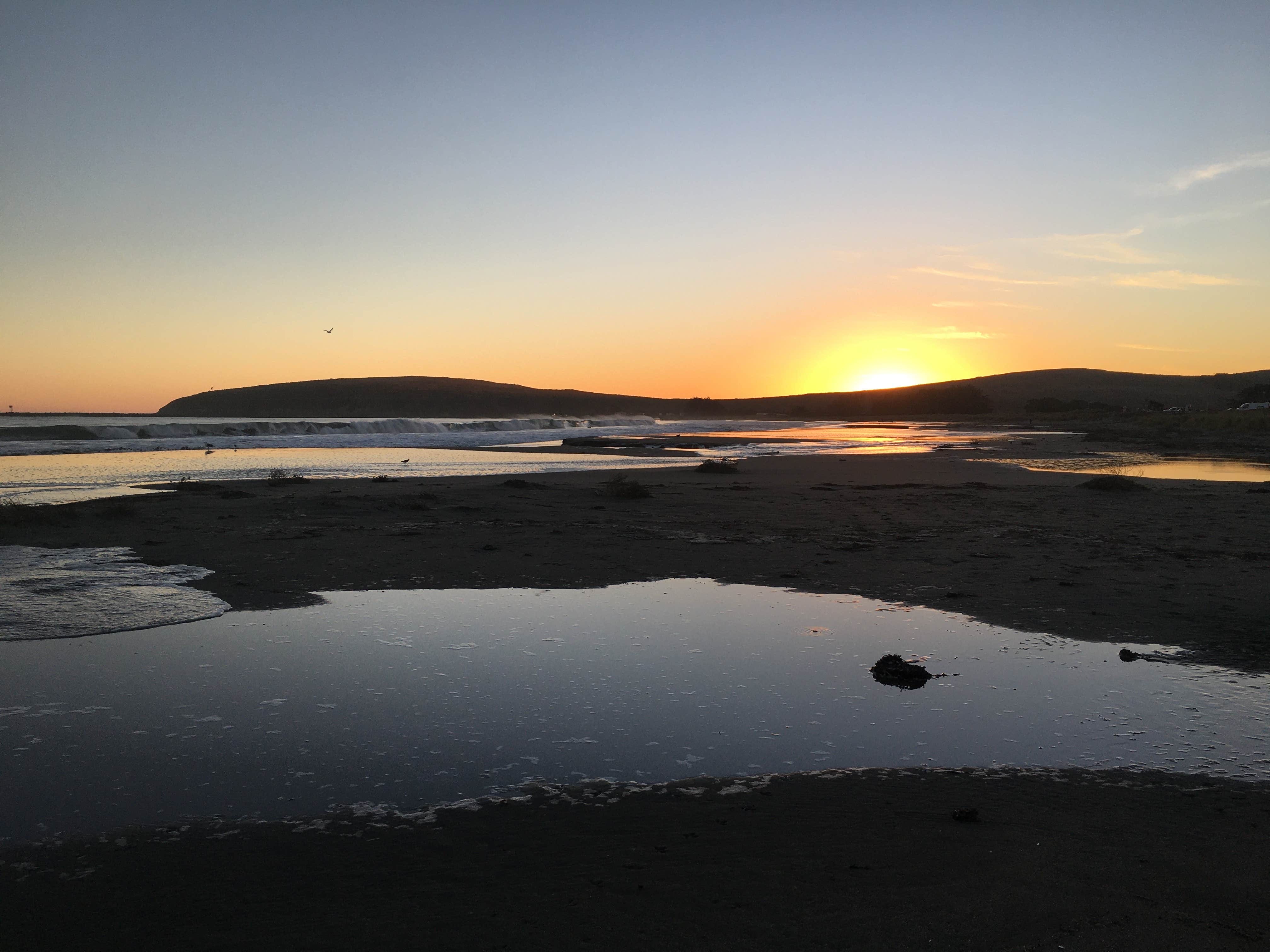 Camper-submitted photo at Doran Regional Park near Petaluma, CA