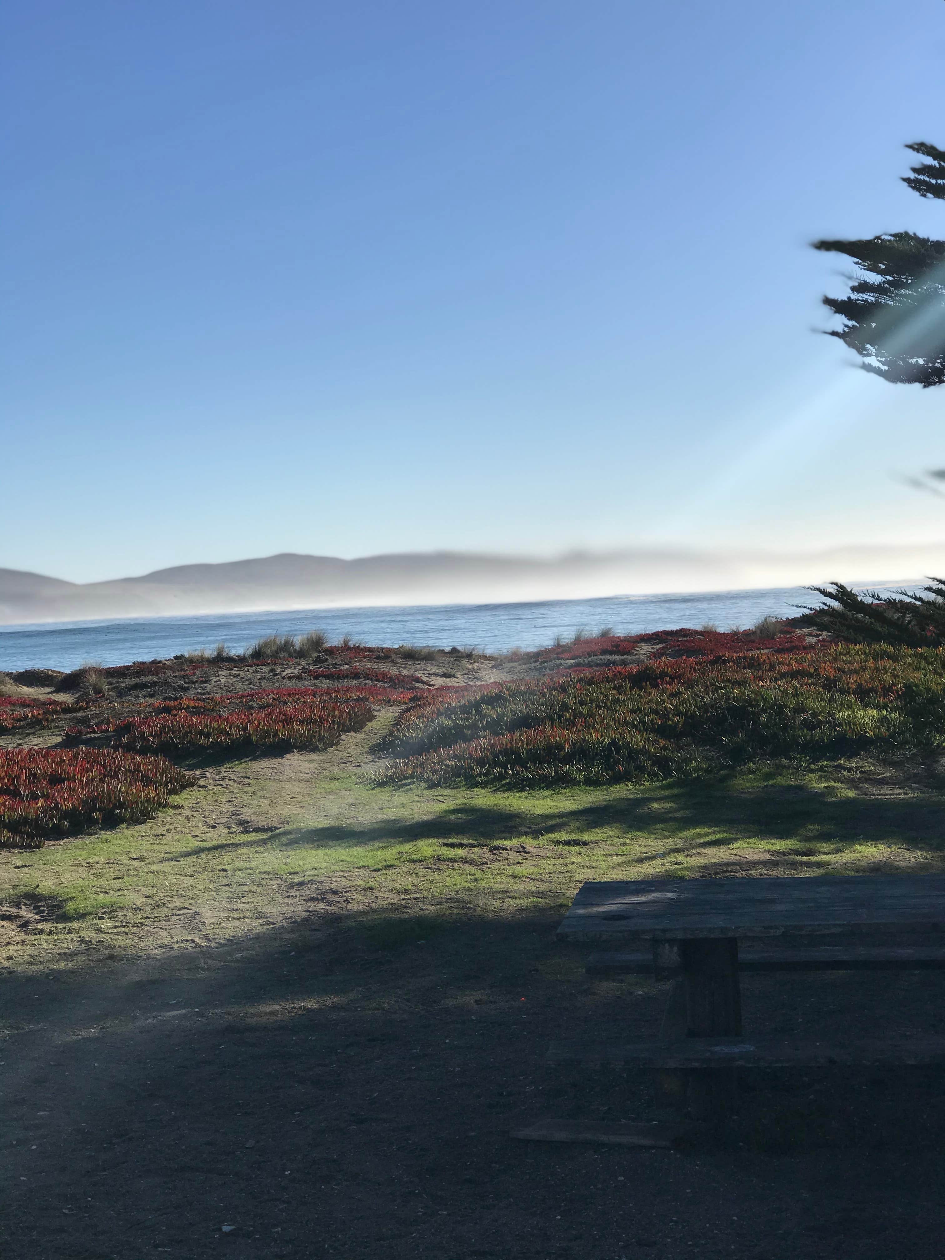 Camper-submitted photo at Doran Regional Park near Petaluma, CA