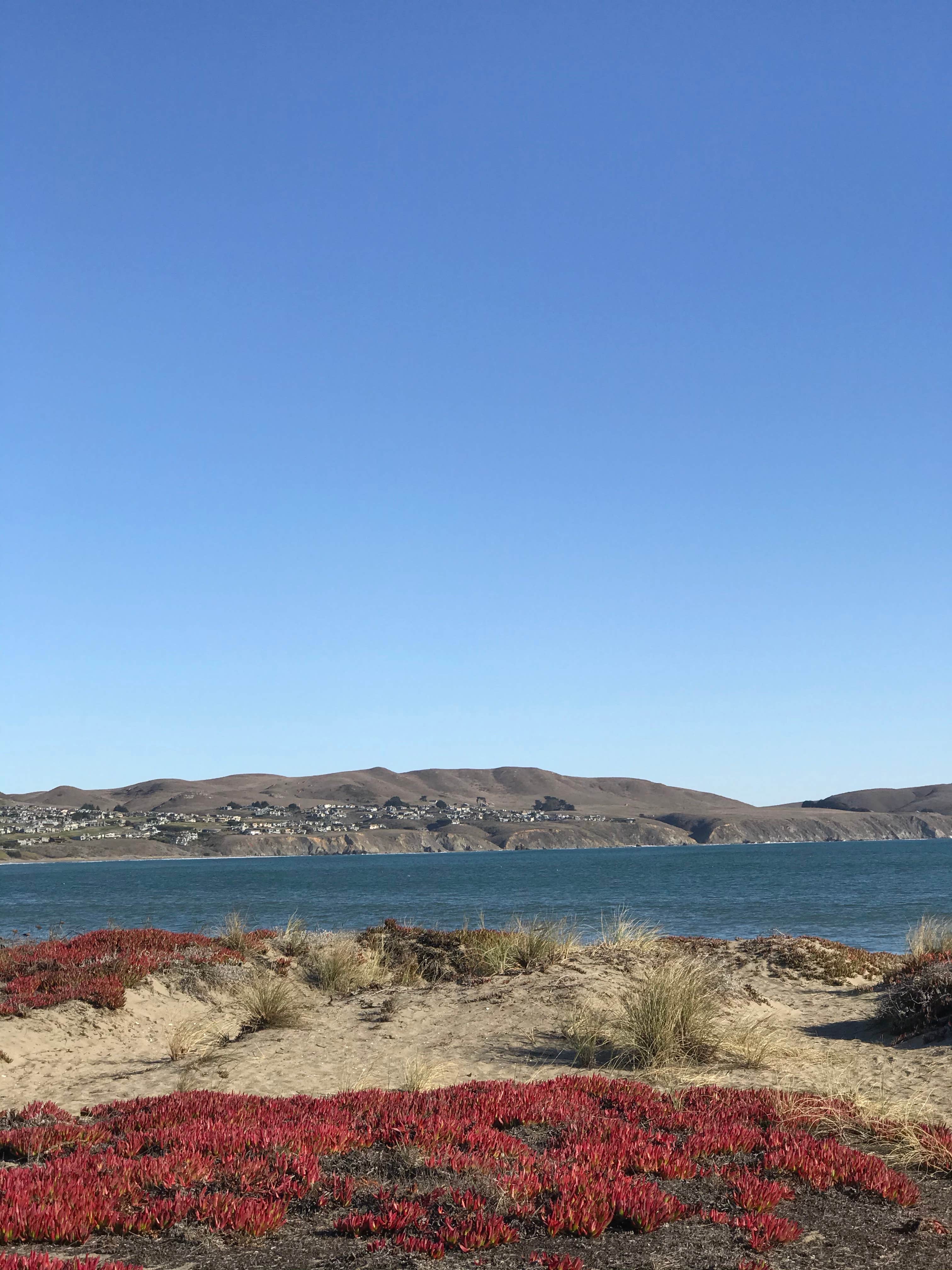 Camper-submitted photo at Doran Regional Park near Petaluma, CA