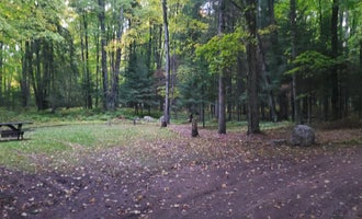Camping near Michigamme Shores Campground: Squaw Lake State Forest Campground, Republic, Michigan