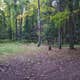 Squaw Lake State Forest Campground
