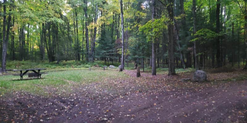 Camper submitted image from Squaw Lake State Forest Campground