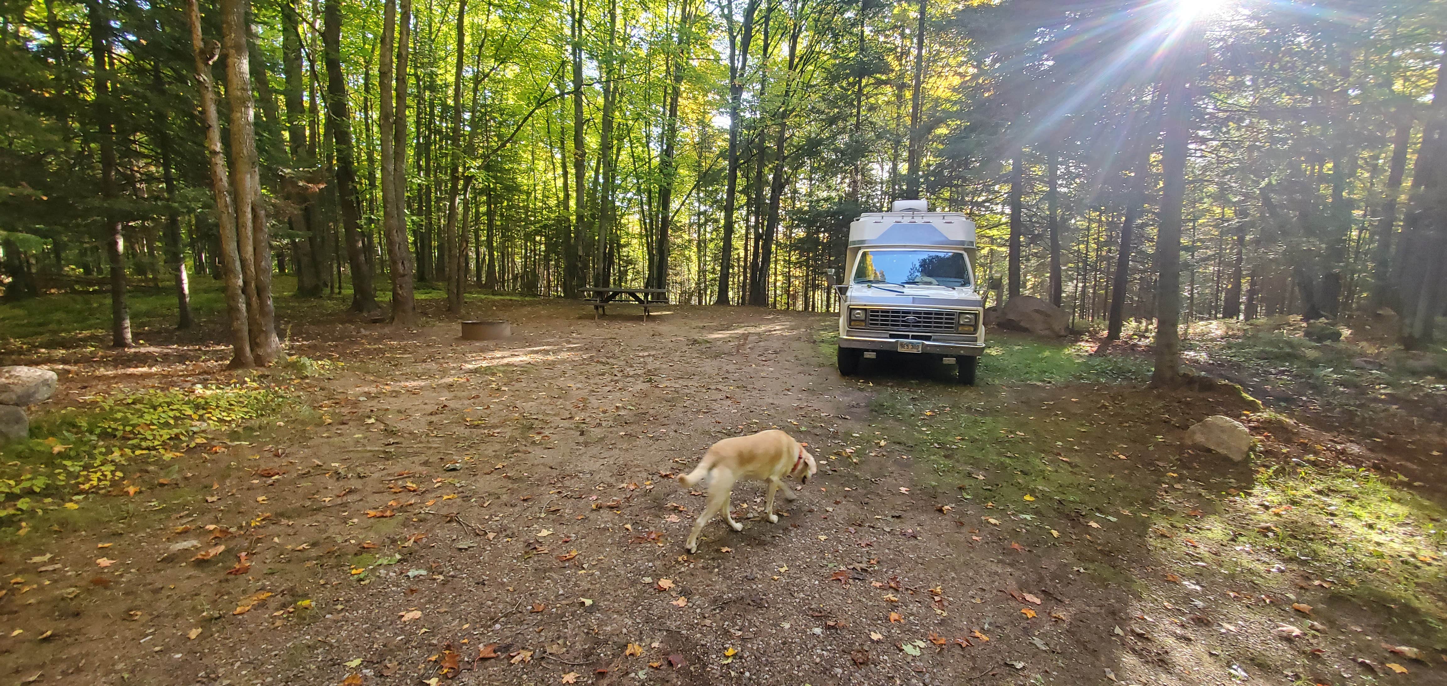 Camper-submitted photo at Squaw Lake State Forest Campground near Michigamme, MI