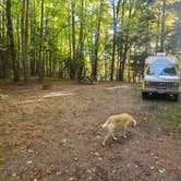 Review photo of Squaw Lake State Forest Campground by UnnamedAdventures  , December 29, 2020