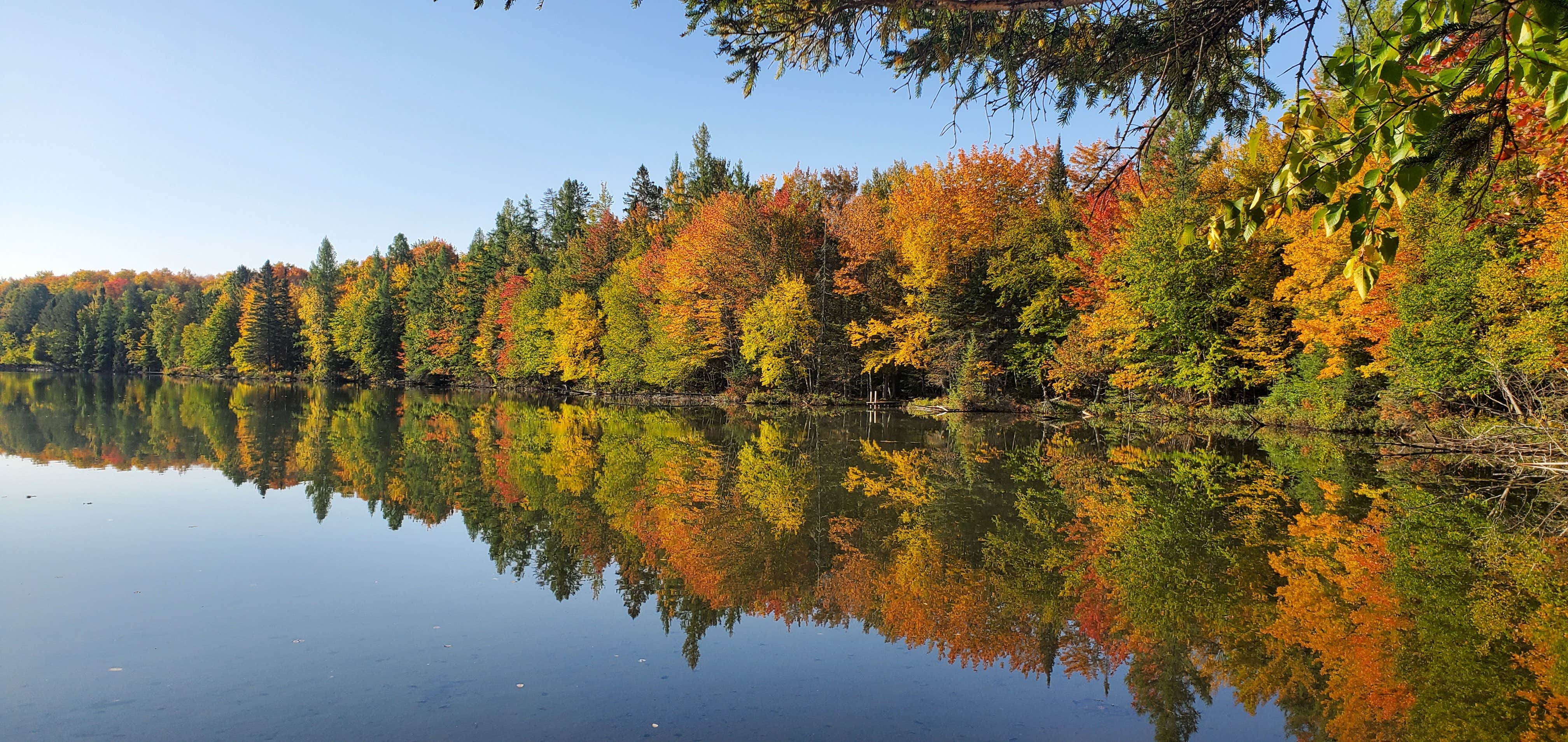 Camper submitted image from Squaw Lake State Forest Campground - 3