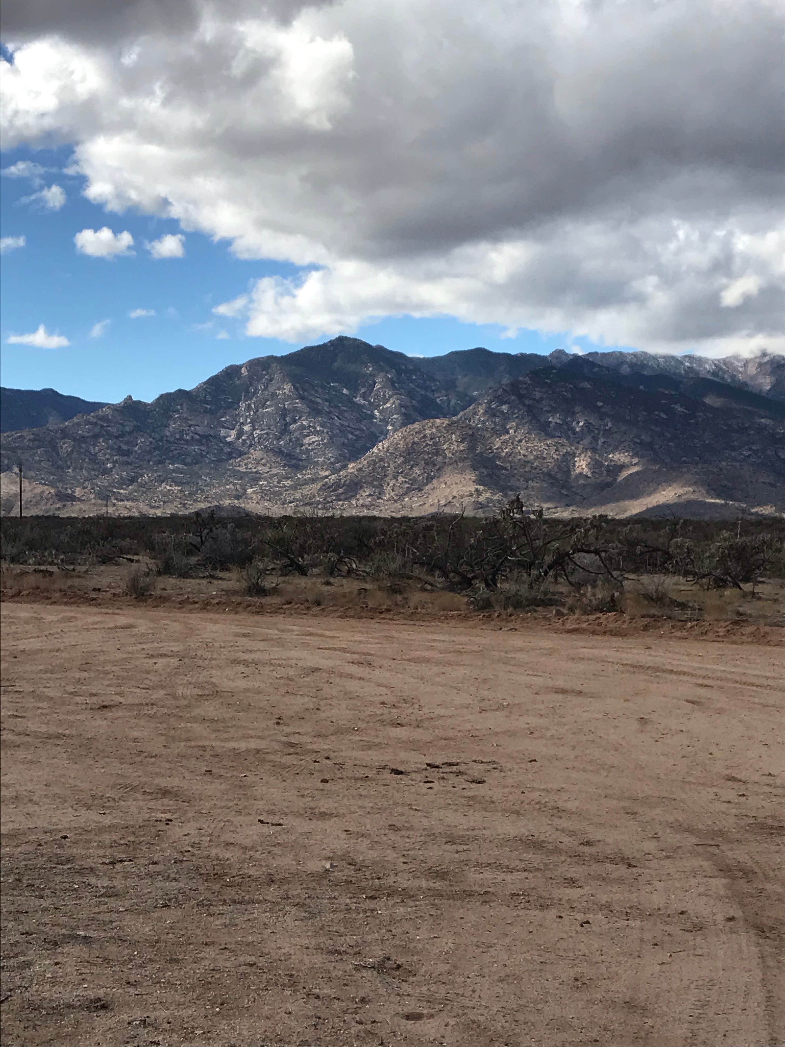 Camper-submitted photo at Tanque Road Dispersed Camping Near Safford near Safford, AZ