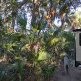 Review photo of Anastasia State Park Campground by George P., December 29, 2020