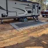 Review photo of Poinsett State Park Campground by George P., December 29, 2020