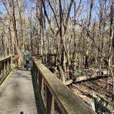 Review photo of Poinsett State Park Campground by George P., December 29, 2020