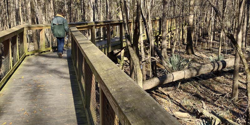 Camper submitted image from Poinsett State Park Campground