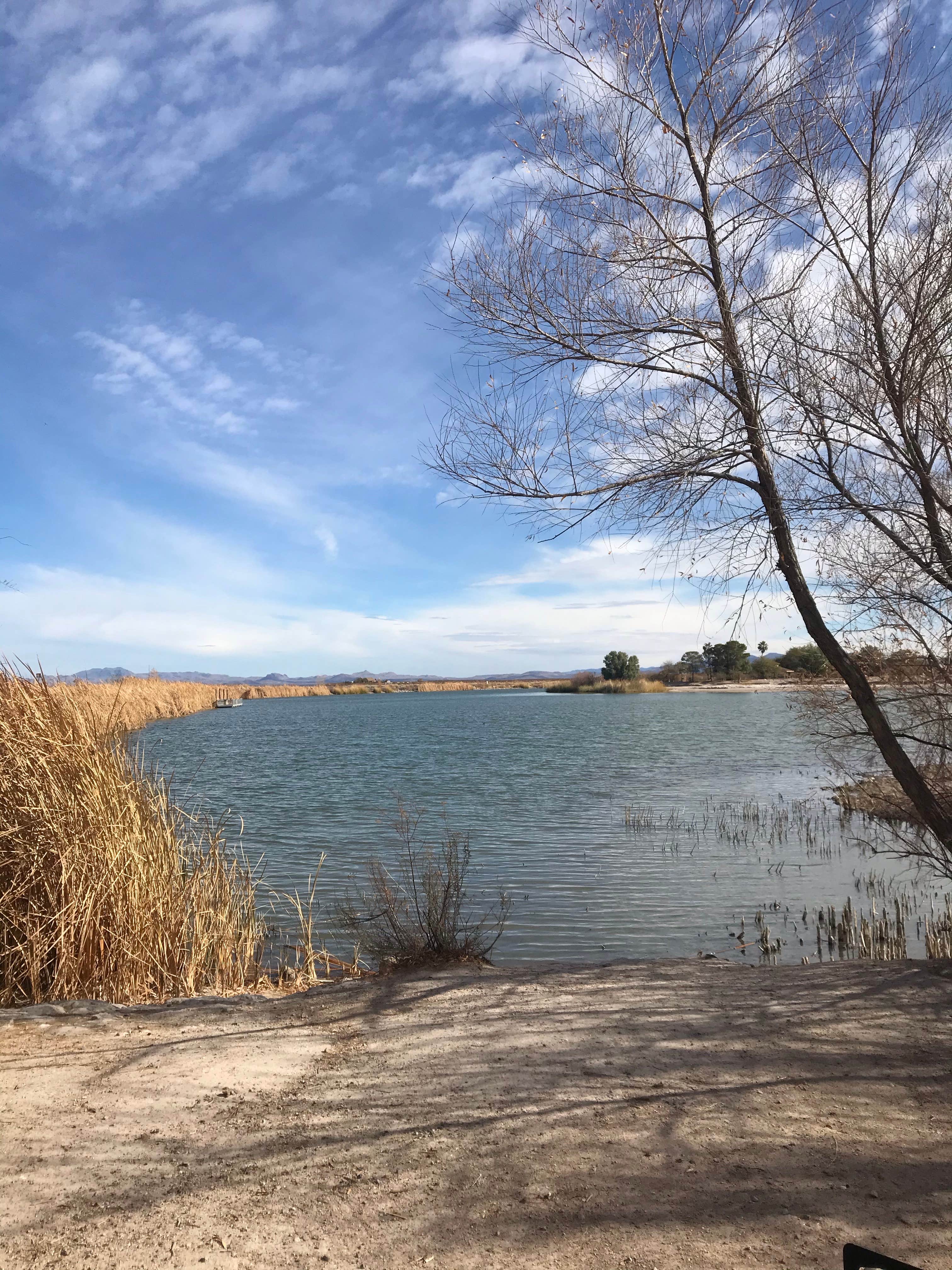 Camper-submitted photo at Gila Campground — Roper Lake State Park near Safford, AZ