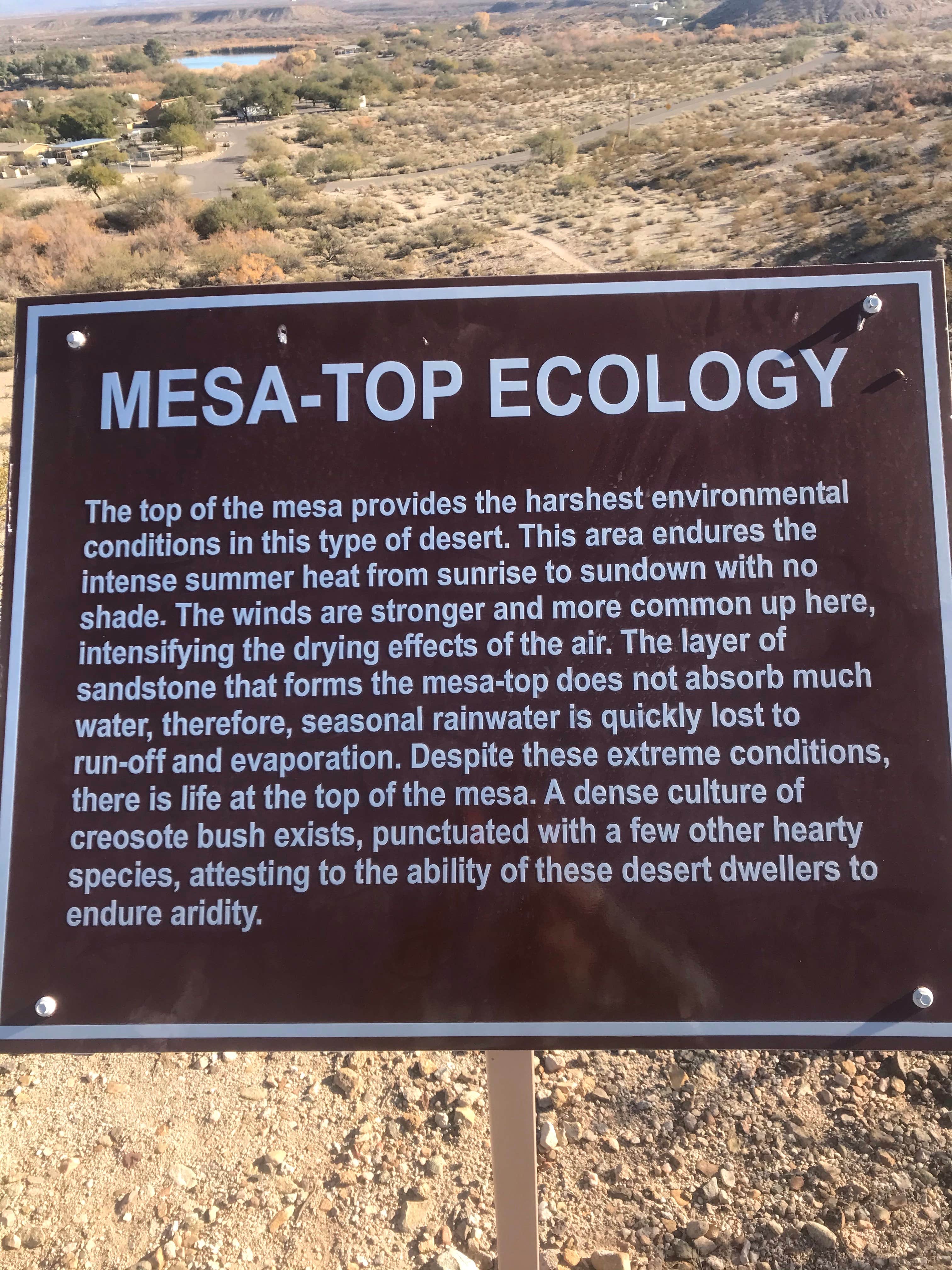 Camper-submitted photo at Gila Campground — Roper Lake State Park near Safford, AZ