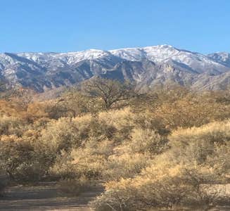 Camper-submitted photo from Gila Campground — Roper Lake State Park