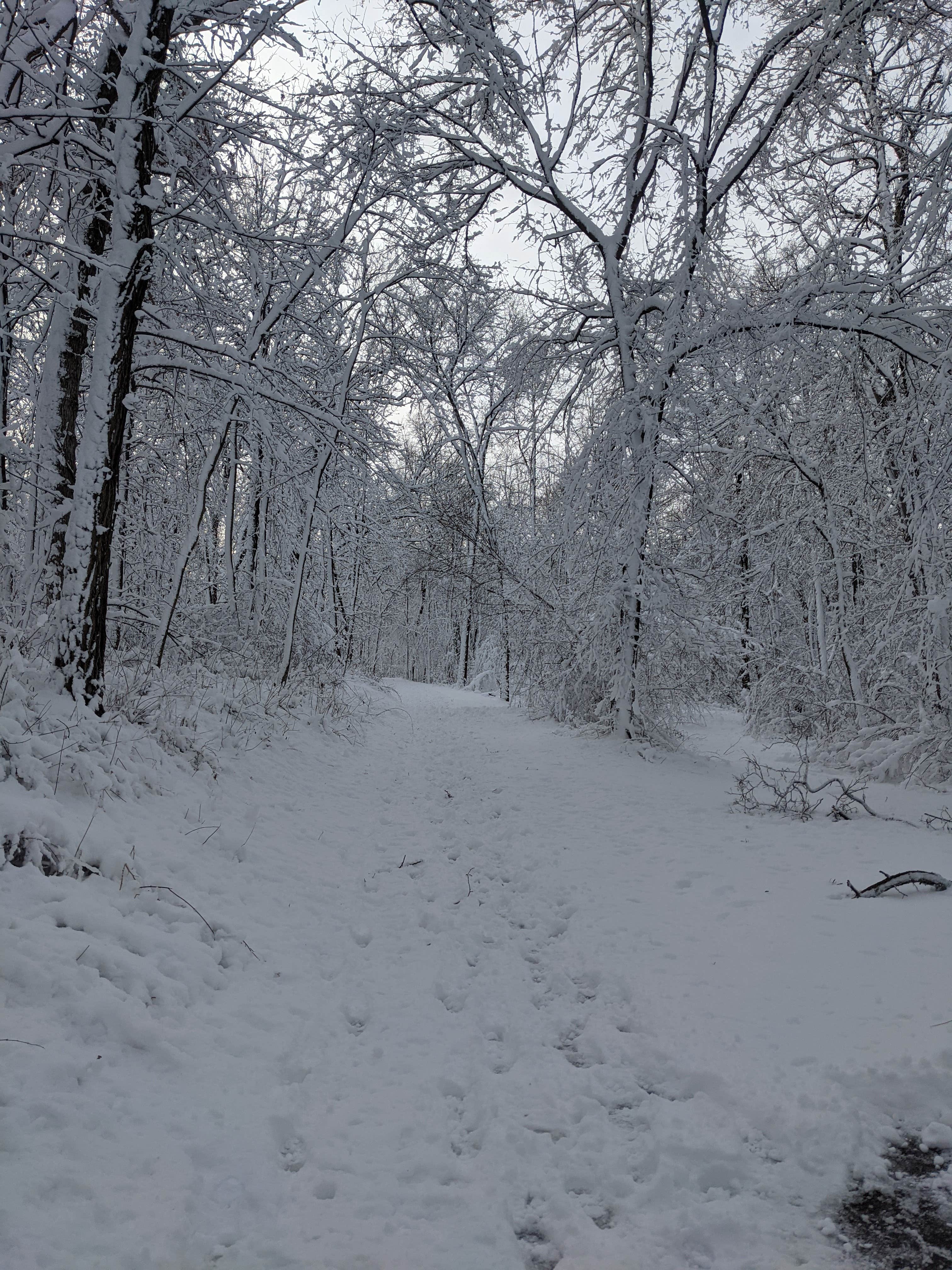 Camper-submitted photo at New Glarus State Park Campground near Lake Mills, WI