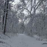 Review photo of New Glarus Woods State Park by Josh F., December 29, 2020