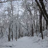 Review photo of New Glarus Woods State Park by Josh F., December 29, 2020