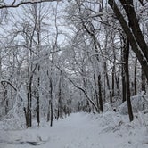 Review photo of New Glarus State Park Campground by Josh F., December 29, 2020