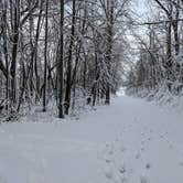 Review photo of New Glarus Woods State Park by Josh F., December 29, 2020