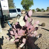 Review photo of Agave Gulch FamCamp by Chuck T., May 26, 2018