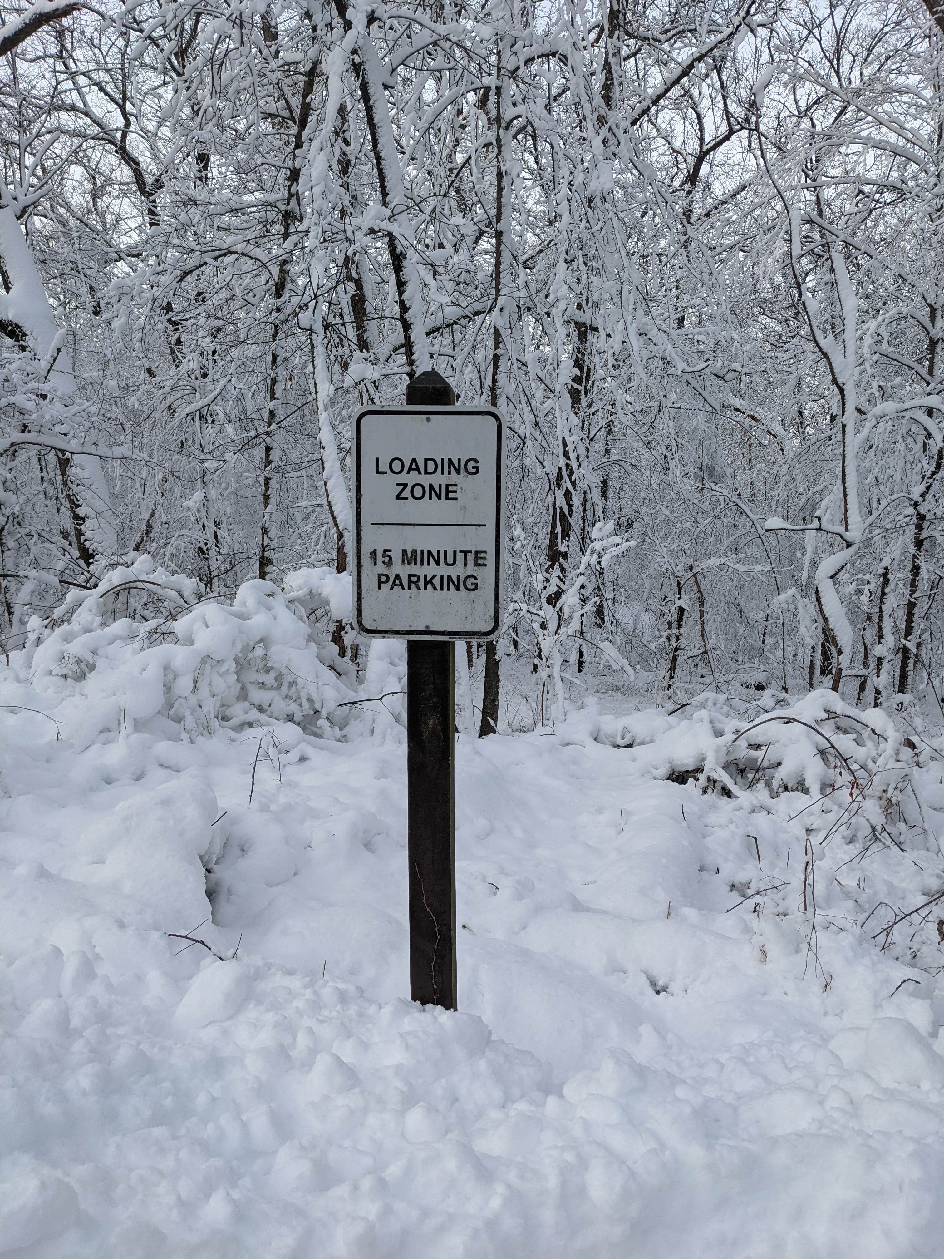 Camper-submitted photo at New Glarus State Park Campground near Lake Mills, WI