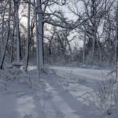 Review photo of New Glarus Woods State Park by Josh F., December 29, 2020