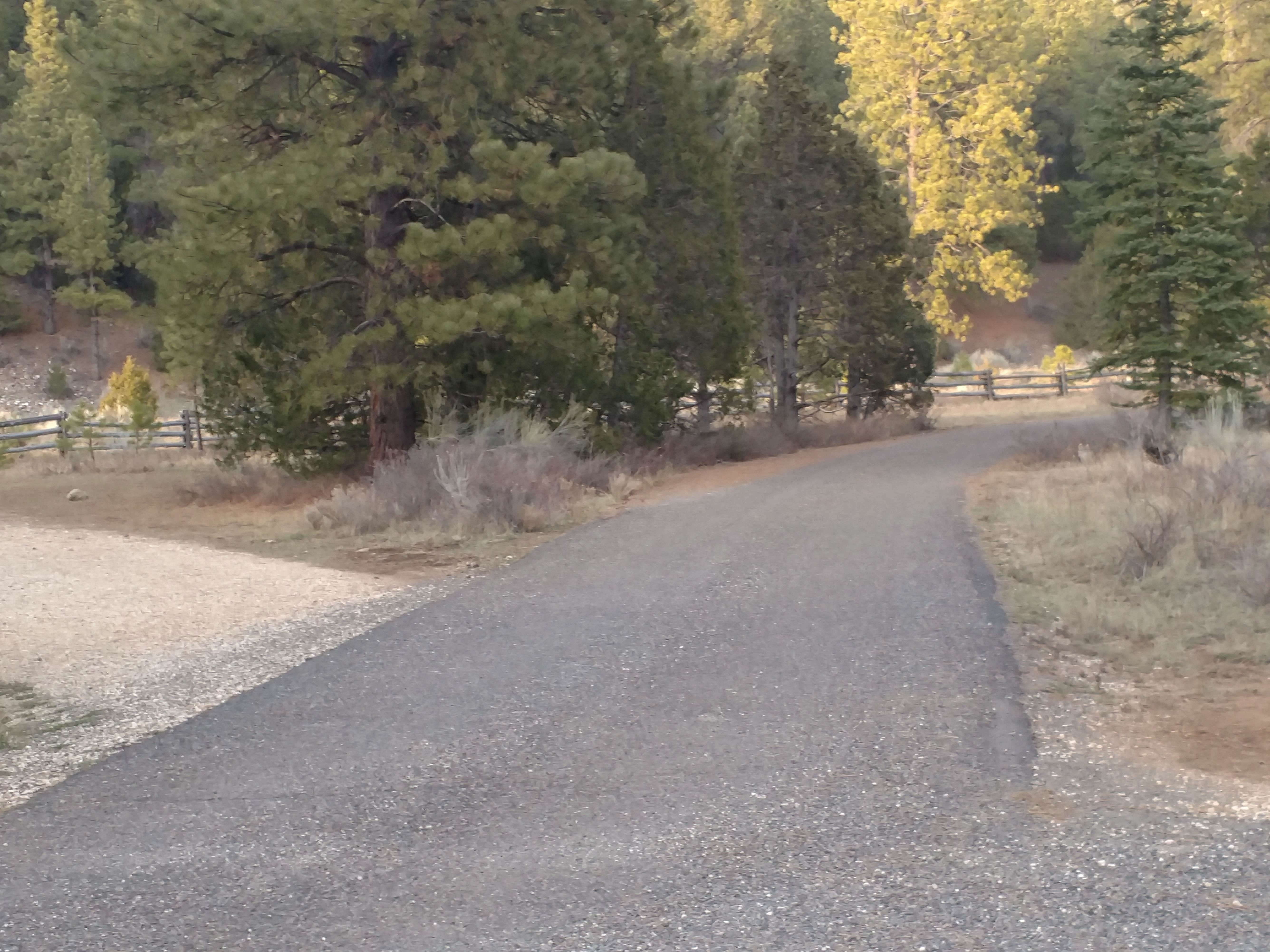 Camper submitted image from Pine Lake Campground - 2