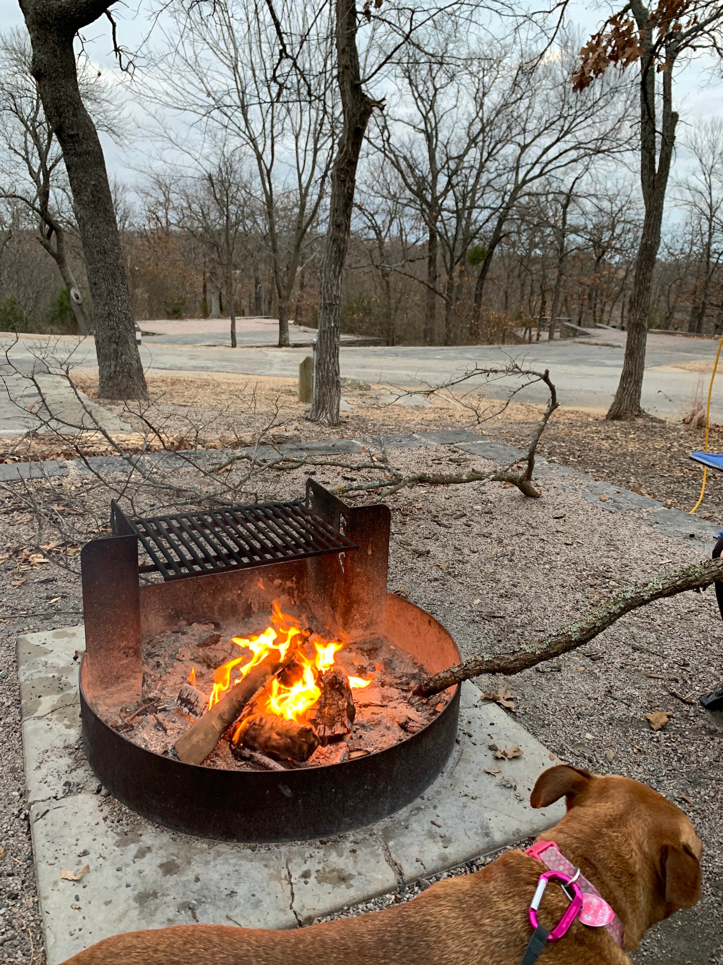 Camper-submitted photo at Central Campground — Chickasaw National Recreation Area near Tishomingo, OK