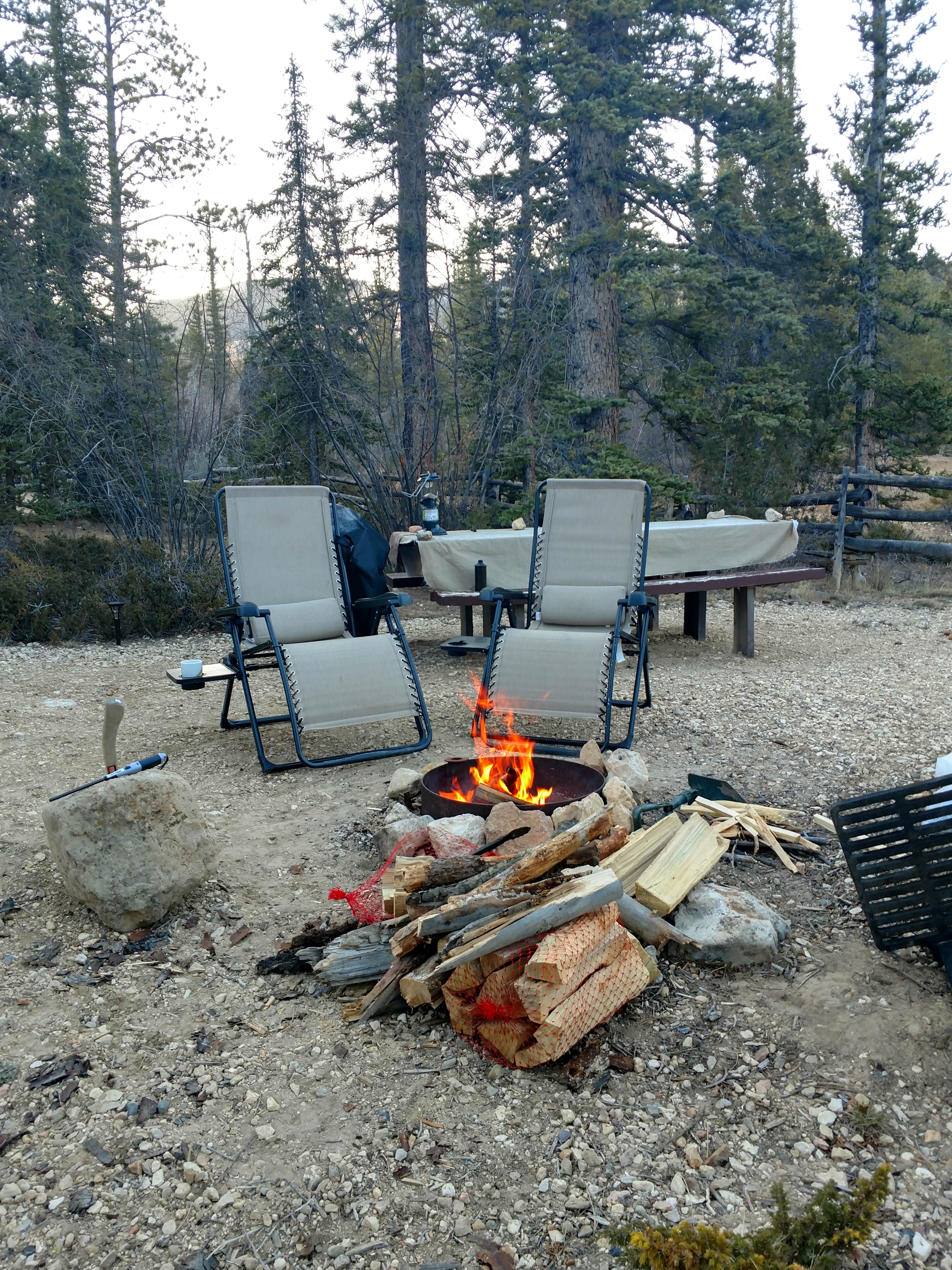 Camper submitted image from Pine Lake Campground - 4