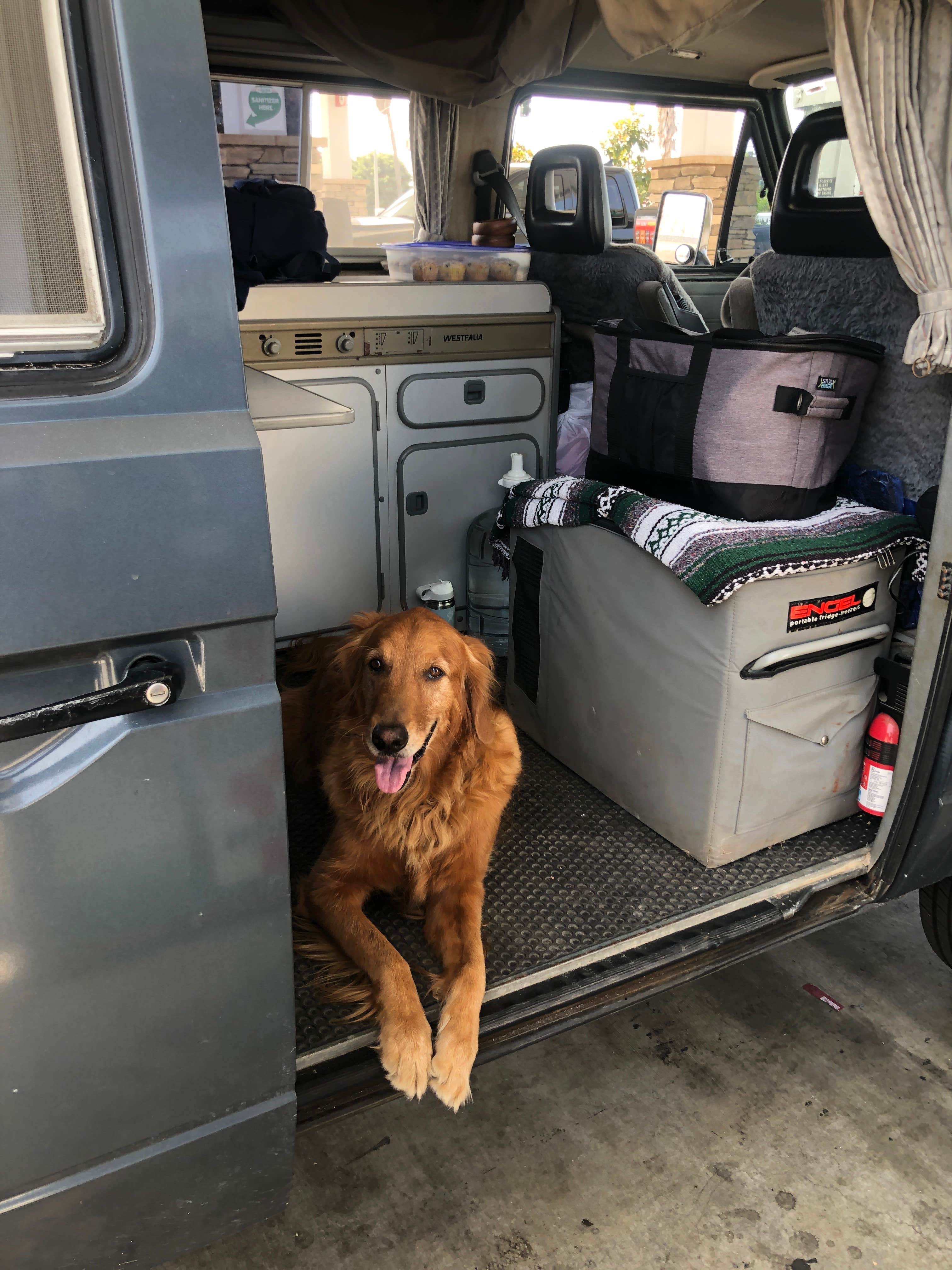 Chad M.'s photo of camping with pets at Jumbo Rocks Campground — Joshua Tree National Park near Bermuda Dunes, CA